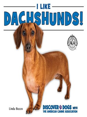 cover image of I Like Dachshunds!
